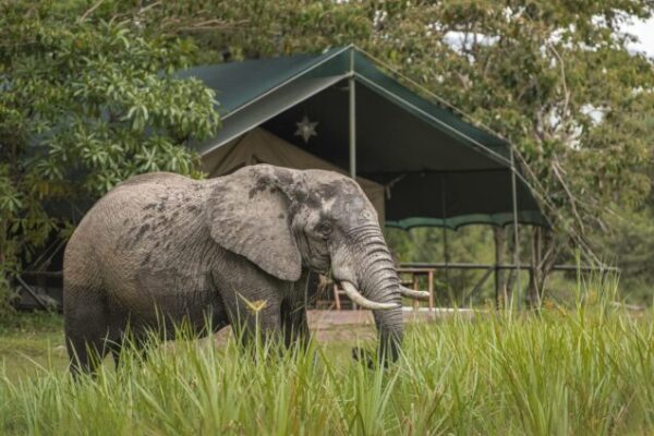 9 Days Kenya & Tanzania Safari and Beach Holiday