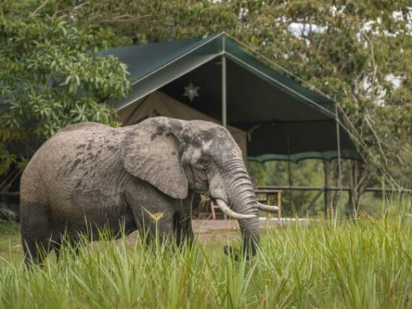 9 Days Kenya & Tanzania Safari and Beach Holiday